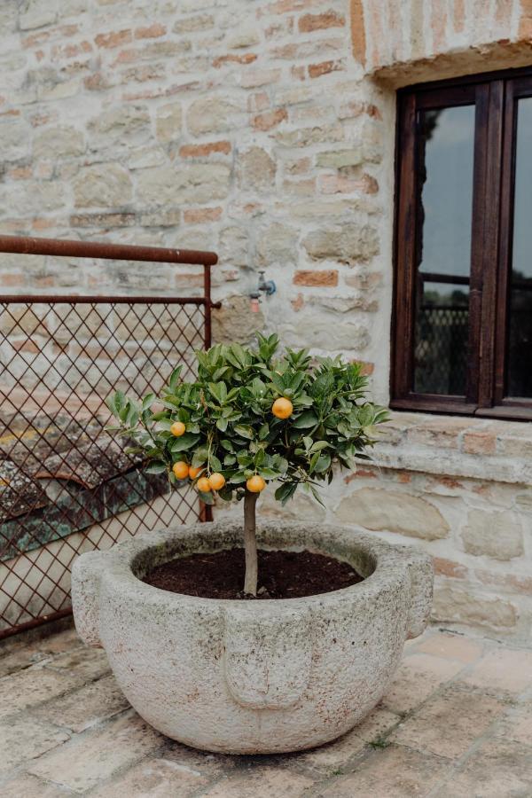Agriturismo Qui Voglio Monte Roberto Zewnętrze zdjęcie