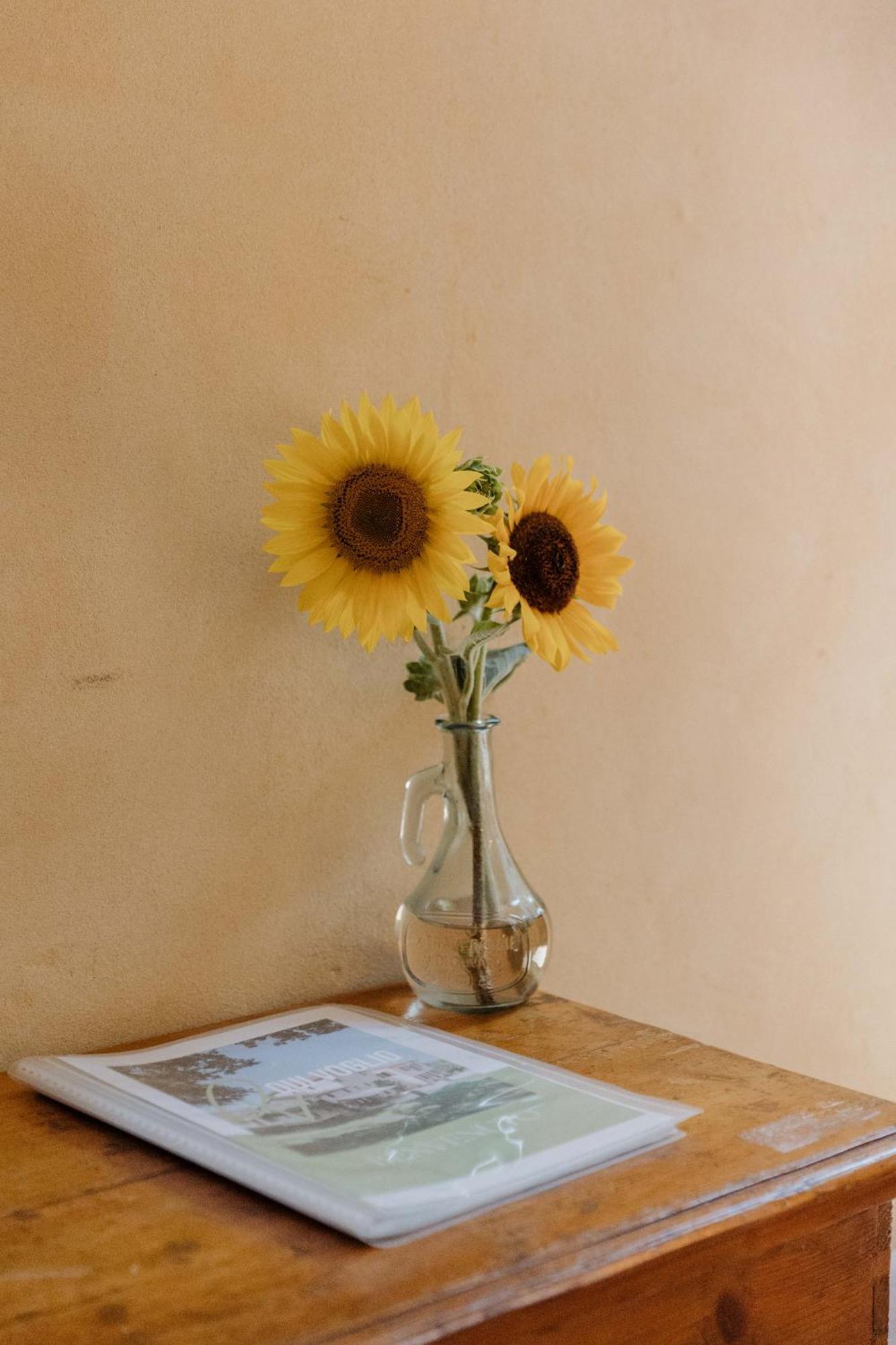 Agriturismo Qui Voglio Monte Roberto Zewnętrze zdjęcie